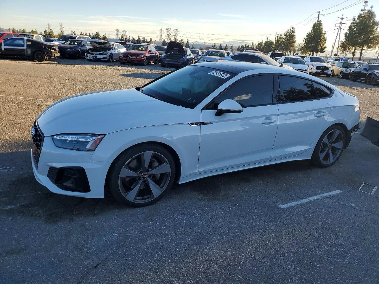 Audi A5 sprowadzone z USA